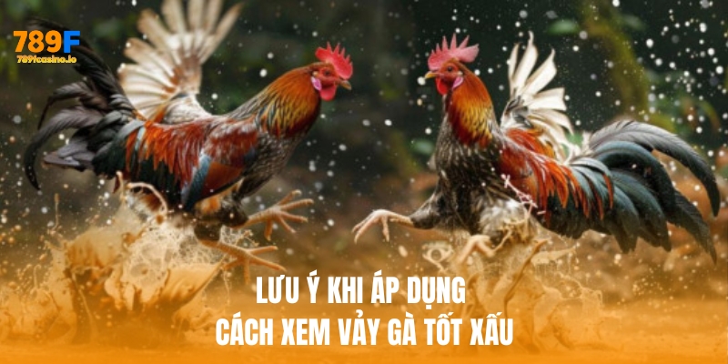 Lưu ý khi áp dụng cách xem vảy gà tốt xấu