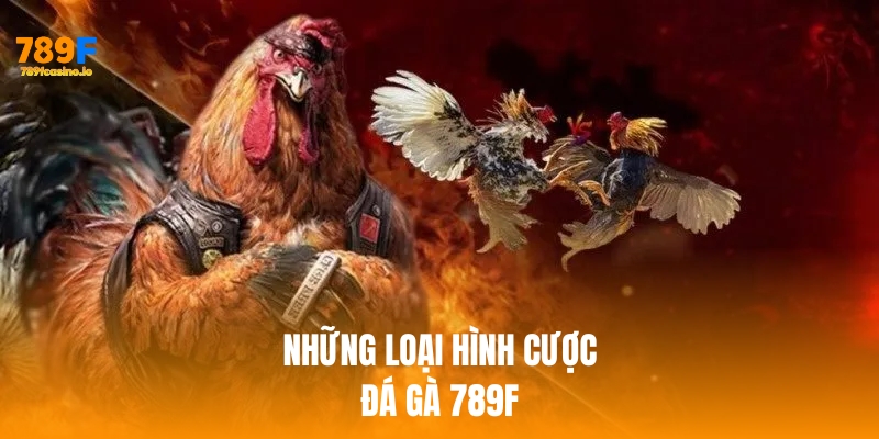 Những loại hình cược đá gà 789f