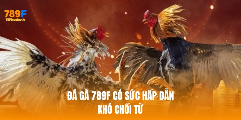 Đá gà 789f có sức hấp dẫn khó chối từ