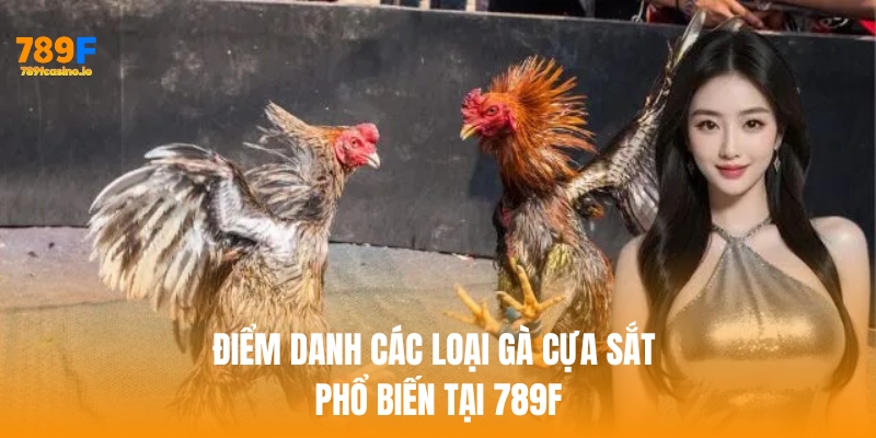 Đá Gà Cựa Sắt: Trải Nghiệm Cá Cược Đỉnh Cao Tại 789F Điểm danh các loại gà cựa sắt phổ biến tại 789F