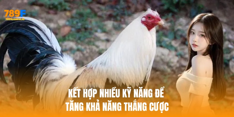 Đá Gà Cựa Sắt: Trải Nghiệm Cá Cược Đỉnh Cao Tại 789F Kết hợp nhiều kỹ năng để dự đoán chính xác hơn và tăng khả năng thắng cược