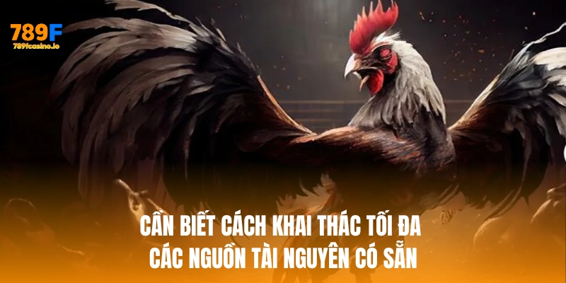 Người chơi cần biết cách khai thác tối đa các nguồn tài nguyên có sẵn